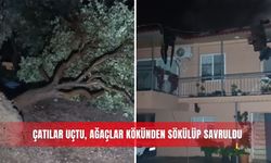 Çatılar uçtu, ağaçlar kökünden sökülüp savruldu