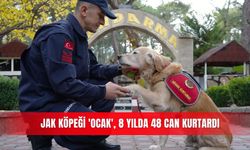 JAK köpeği 'Ocak', 8 yılda 48 can kurtardı