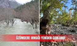 Üzümdere Irmağı yeniden canlandı
