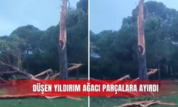Düşen yıldırım ağacı parçalara ayırdı