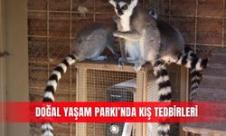 Doğal Yaşam Parkı’nda kış tedbirleri