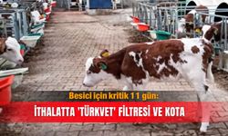 Besici için kritik 11 gün: İthalatta 'türkvet' filtresi ve kota