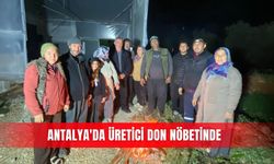 Antalya'da üretici don nöbetinde