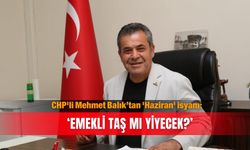 CHP'li Mehmet Balık’tan 'Haziran' isyanı: ‘Emekli taş  mı yiyecek?’