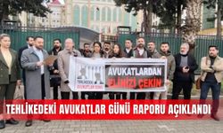Tehlikedeki Avukatlar Günü Raporu açıklandı