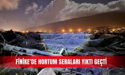 Finike'de hortum seraları yıktı geçti