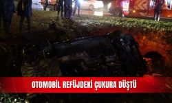 Otomobil refüjdeki çukura düştü