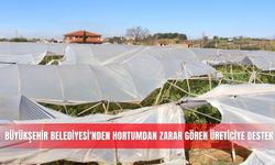 Büyükşehir Belediyesi'nden hortumdan zarar gören üreticiye destek