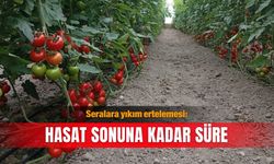 Seralara yıkım ertelemesi: Hasat sonuna kadar süre