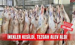 İnekler kesildi, tezgah alev aldı
