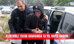 Elektrikli tuzak davasında 13 yıl hapis kararı