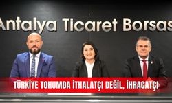 Türkiye tohumda ithalatçı değil, ihracatçı