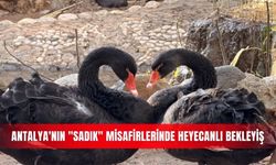 Antalya'nın "sadık" misafirlerinde heyecanlı bekleyiş