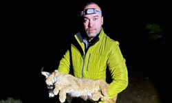 ‘Ormanın Hayaleti’ bilimsel olarak tescillendi