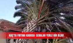 Kaş’ta fırtına kabusu: Seralar yerle bir oldu!