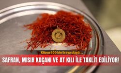 Kilosu 900 bin liraya ulaştı... Safran, mısır koçanı ve at kılı ile taklit ediliyor!