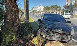 Otomobil refüjdeki ağaca çarptı