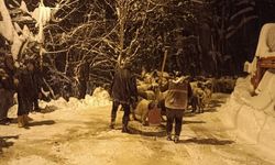 Giresun’da çığ: 1 çoban can verdi