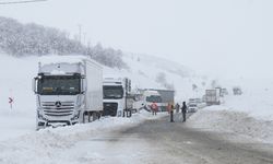 Muş-Bingöl kara yolunda 60 araç ve 140 kişi kurtarıldı