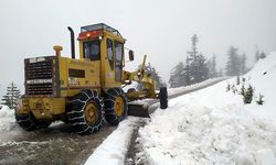 Büyükşehir ekipleri Alanya'da Taşatan Yolu’nda mahsur kalanları kurtardı