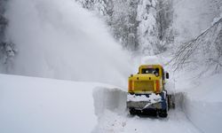 Kuvvetli kar yağışı ülkenin doğusunda ulaşımı felç etti
