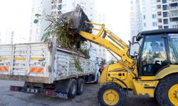 Muratpaşa'da çevreyi kirletenlere ceza yağdı