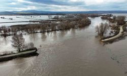 Yüzlerce dönüm tarım arazisi sular altında
