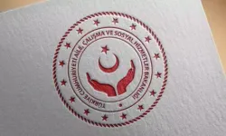 Türkiye'den uluslararası platformlarda 'Aile diplomasisi'