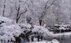 New York’ta soğuk hava nedeniyle 18 kişi hayatını kaybetti