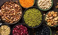 ‘Bitkisel protein kaynakları metabolik dengeyi destekliyor’