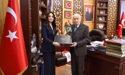 'Eserlerle Devlet Bahçeli' kitabı kamuoyuna sunuldu