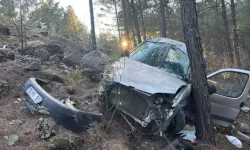 Otomobil ağaca daldı