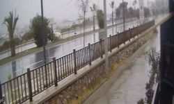 Alanya'da otomobil ağaca çarpıp takla attı