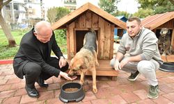 Kepez’de can dostlarına hayırsever eli