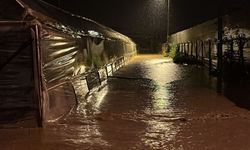 Kumluca'da yağmur ve hortum seraları vurdu