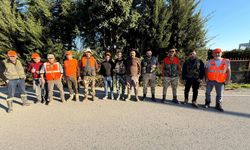 Serik'te domuzlar avları devam ediyor