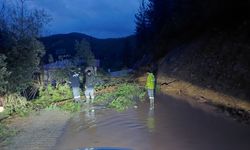 Antalya Gündoğmuş'ta piknik alanları su altında kaldı
