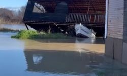 Taşan ırmak suları tarım arazileri ve caddeleri sular altında bıraktı