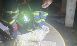 Isparta'da gece yarısı kurtarma operasyonu