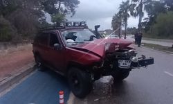 Alkollü sürücü palmiyeye çarptı: 2 yaralı