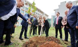 AÜ İlahiyat Fakültesi bahçesine 100 ağaç dikildi