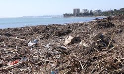 Mersin sahilleri temizleniyor