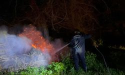 Gazipaşa Selinus Kalesi'ndeki çalılık yangını korkuttu