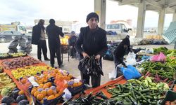 Antalya'daki olumsuz hava şartları patlıcanın tadını kaçırdı