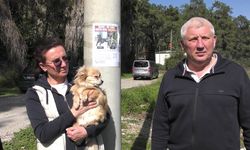 Canlı bulana 100 bin, ölü bulana 10 bin ödül