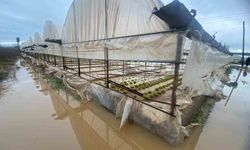 Sağanak yağmur Aksu'da su baskınlarına sebep oldu