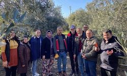 Serik'te budama eğitimi