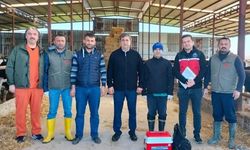 Serik'te büyükbaşlar şaplandı