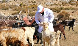 Büyükşehir'den çobanlara destek