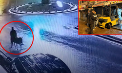 Forklift ile kuyumcu soyup eşekle kaçmış